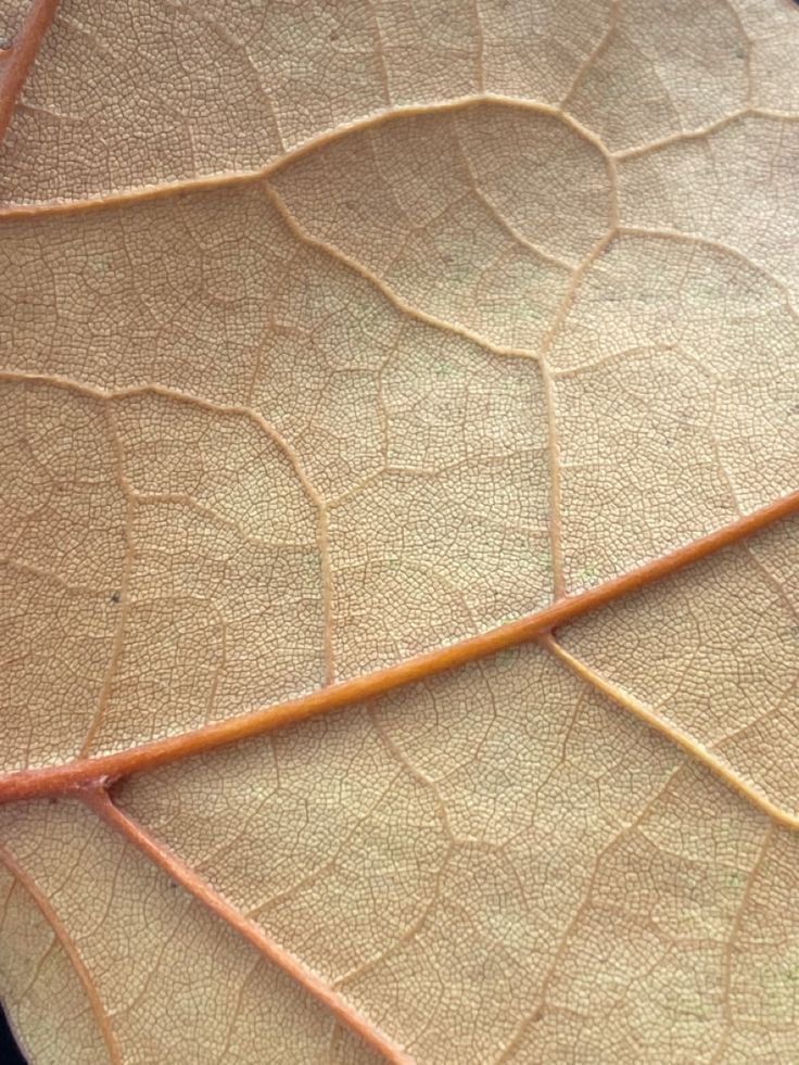 Even in the Lonely Now