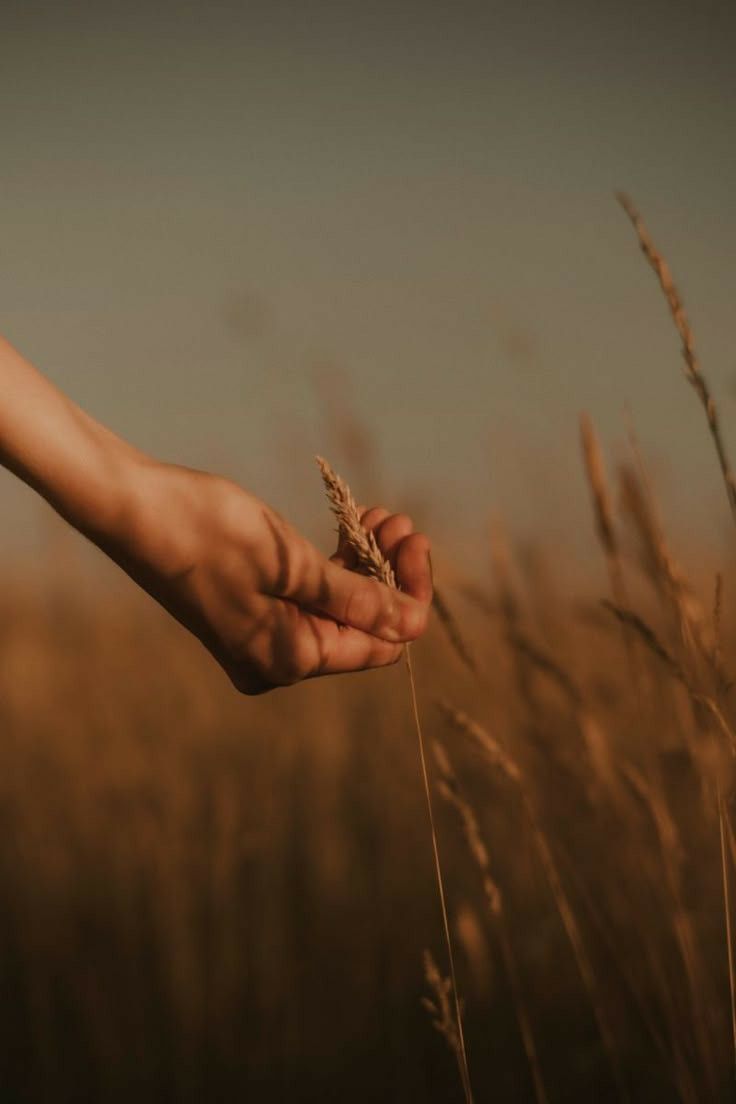 Endings as Beginning