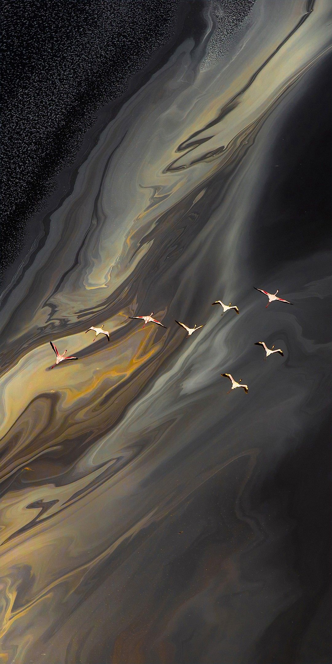 The Moment I saw you laugh for the first time